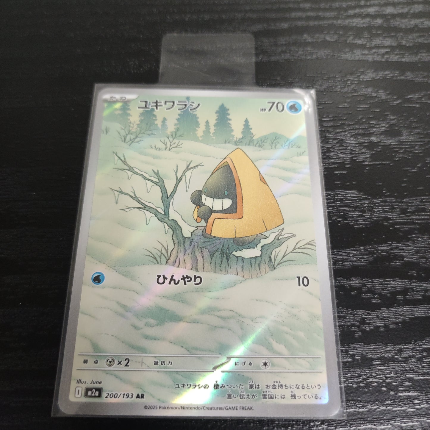 M2A 200/193 雪童子AR